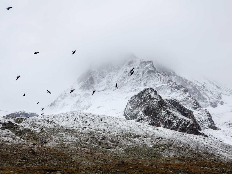 sudoku irregular boxes screenshot 3